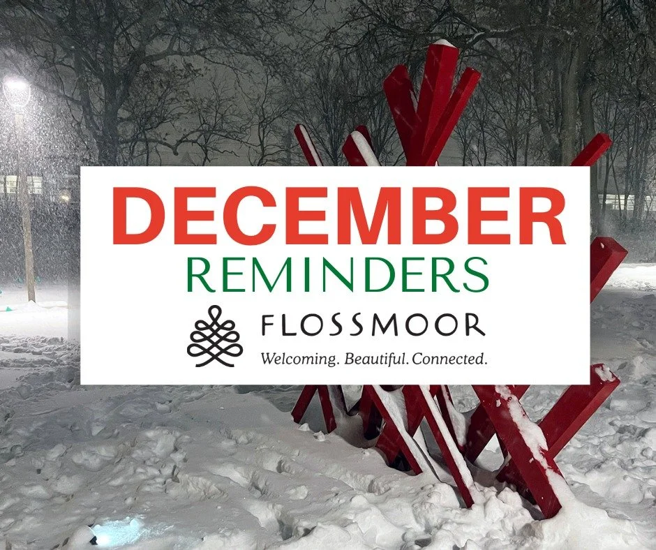 Welcome to December, Flossmoor! Click below for your resident reminders for the month:

https://conta.cc/3LZhX2n

#ThisIsFlossmoor