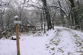 Greetings, Flossmoor! The 11th Dr. Martin Luther King, Jr. Day of Service &mdash; the Village's signature volunteer event &mdash; is just 10 days away: Monday, Jan. 19. There are many opportunities to volunteer and ways to make a difference, includin