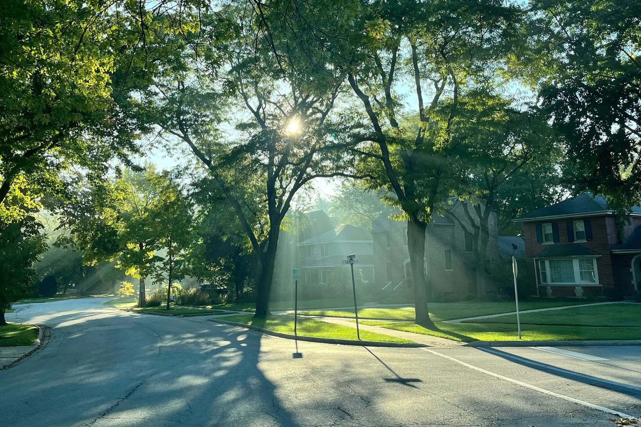 Happy Friday, Flossmoor! Here is some good news for Flossmoor's tree canopy during this #EarthMonth:

The Village of Flossmoor is one of seven communities that have been selected to receive free trees through ComEd&rsquo;s 2026 Power Planting Program