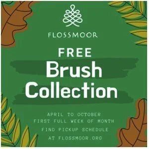 Resident Reminder: Flossmoor's free brush collection service is now running through October. This service is intended to provide an easy and convenient way for single-family home residents to dispose of tree branches from their property. Tree waste f