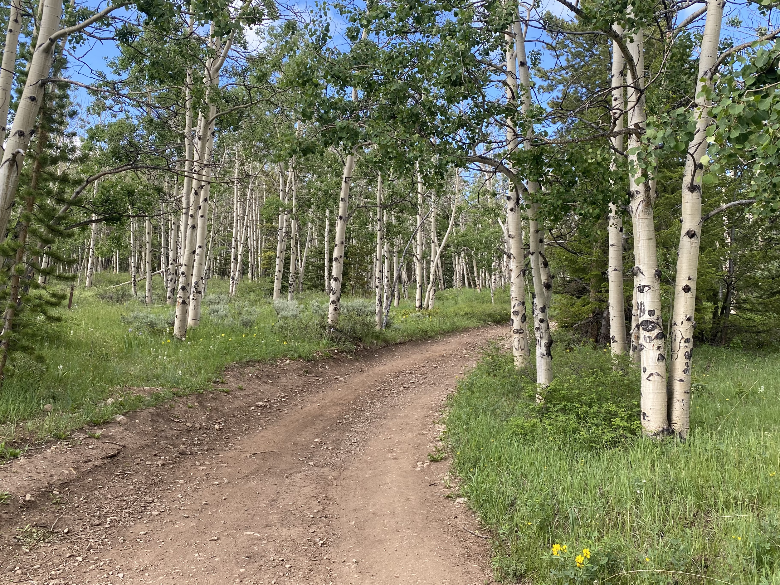 Sanctity of a Dark Sky