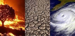 Care in a Climate of Fear: Pastoral Implications of Climate Change