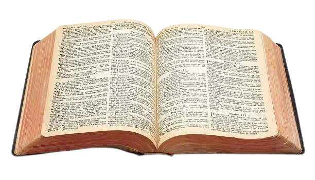 Holy Book Display