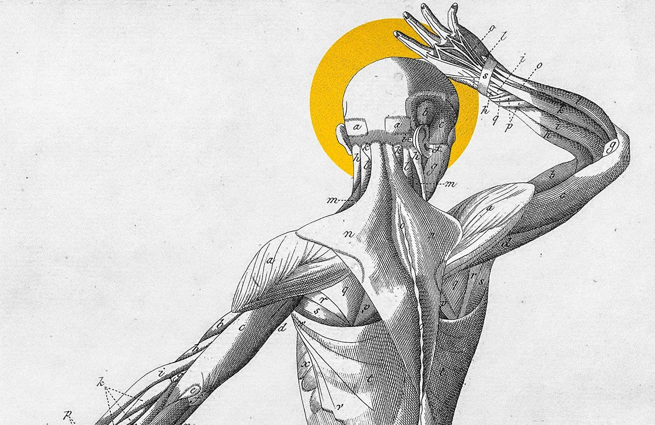 The anatomy of Anglican governance