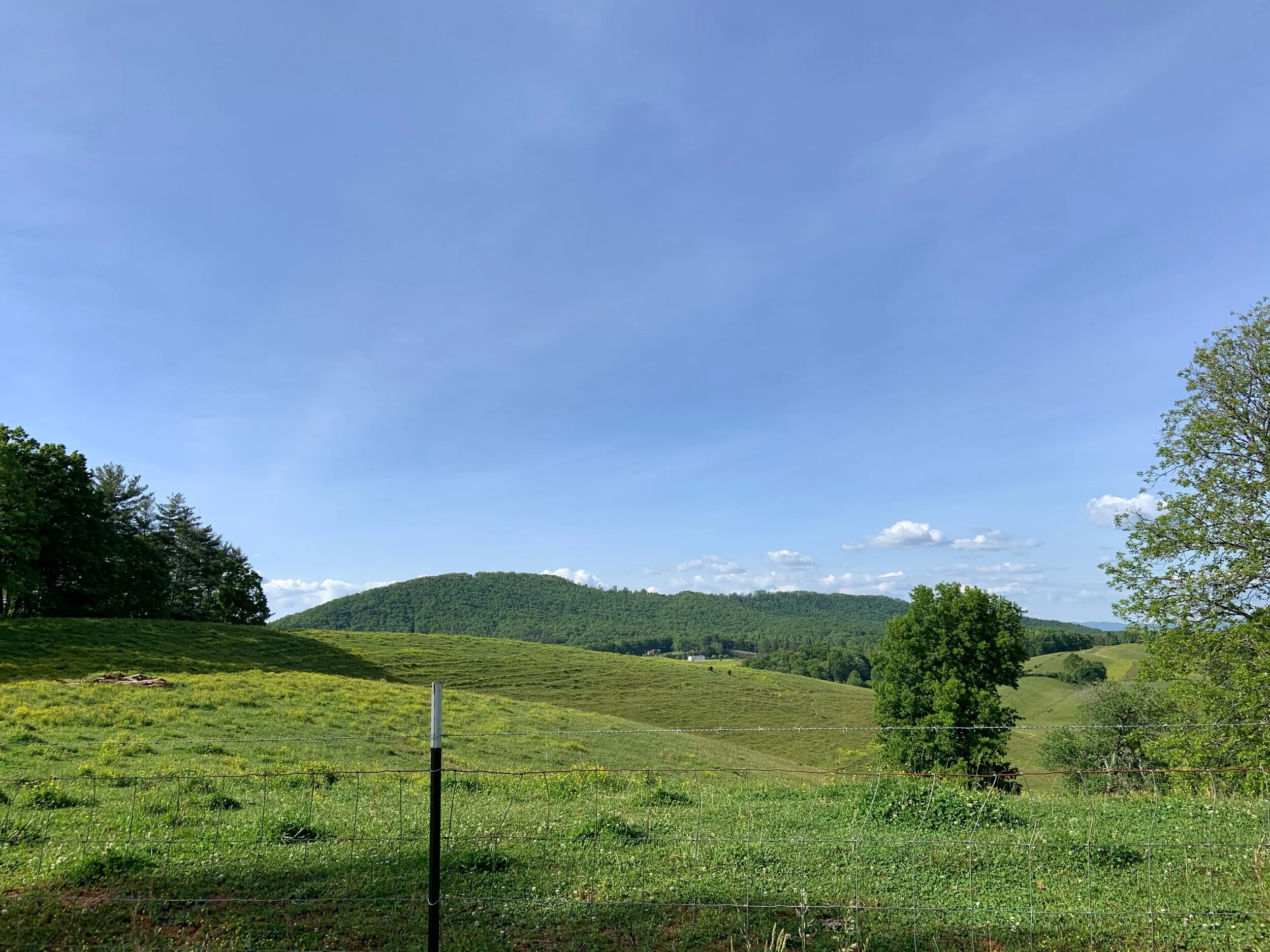 IMG_9967.jpeg