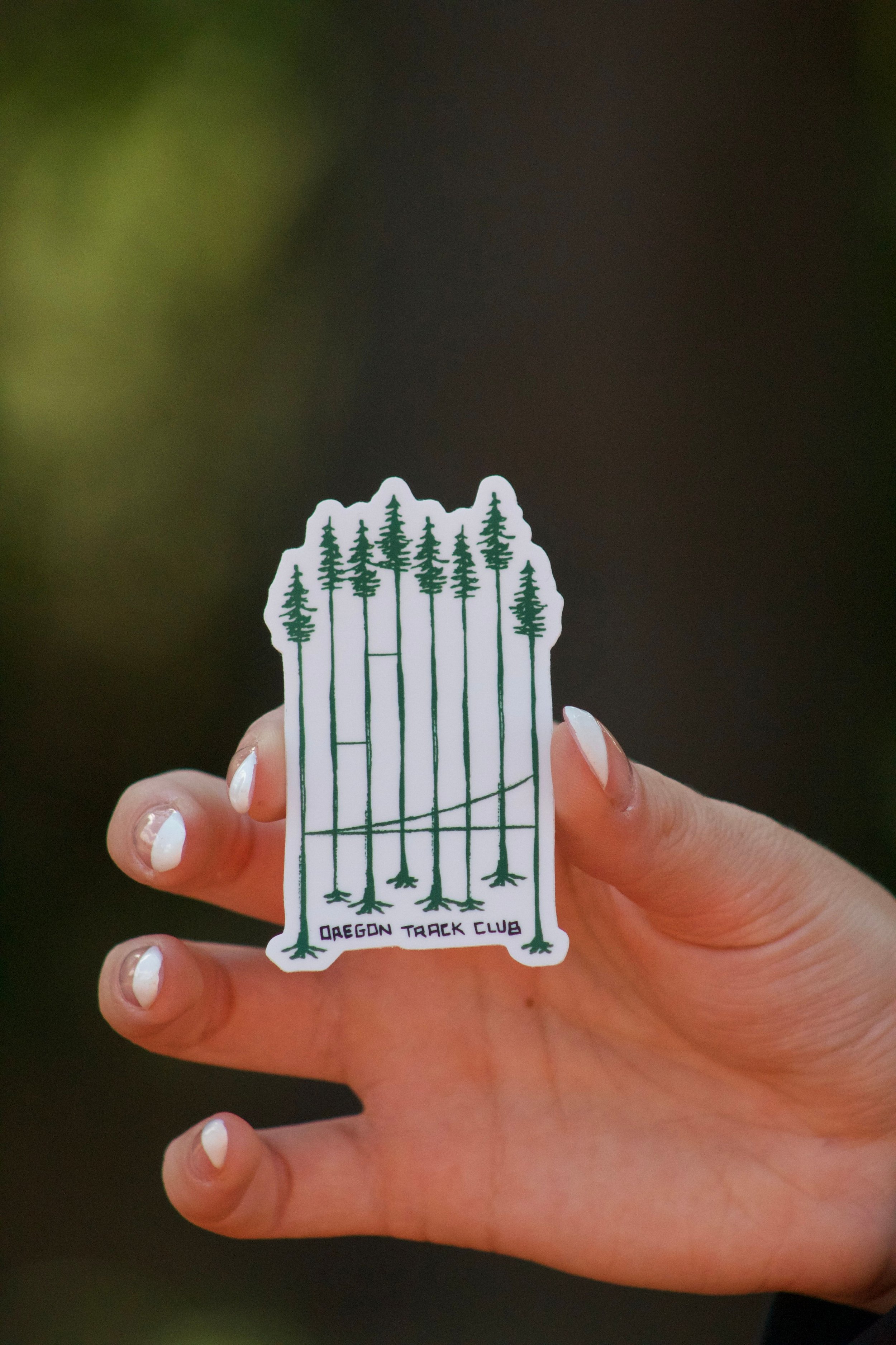 Rooted in History Sticker