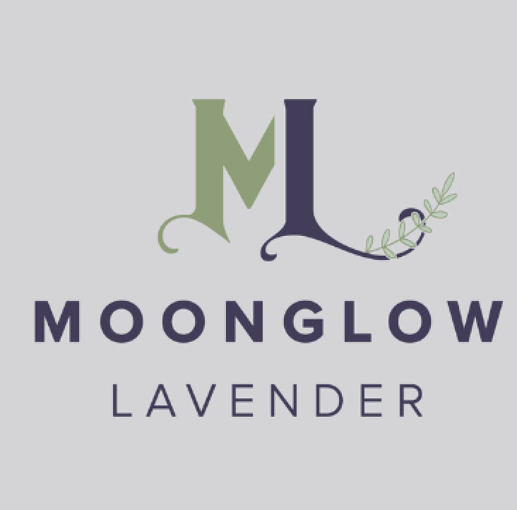 Screen Shot 2026-04-17 at 8.26.37 AM.png