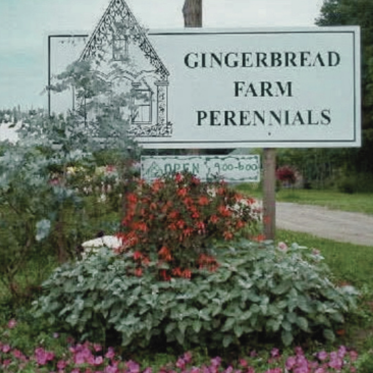 Screen Shot 2026-04-17 at 8.26.42 AM.png