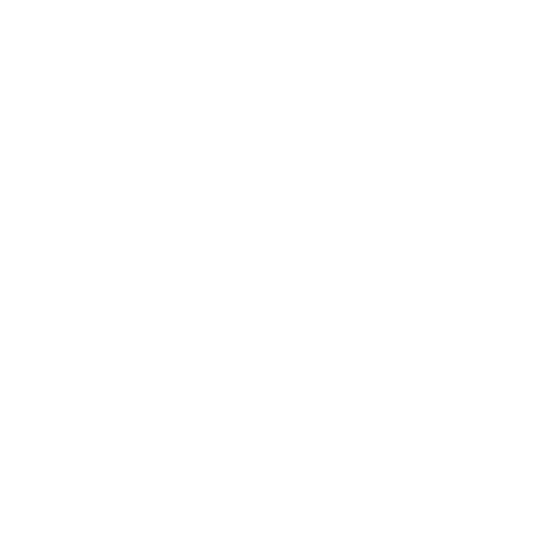 Theo's+Logo+White.png