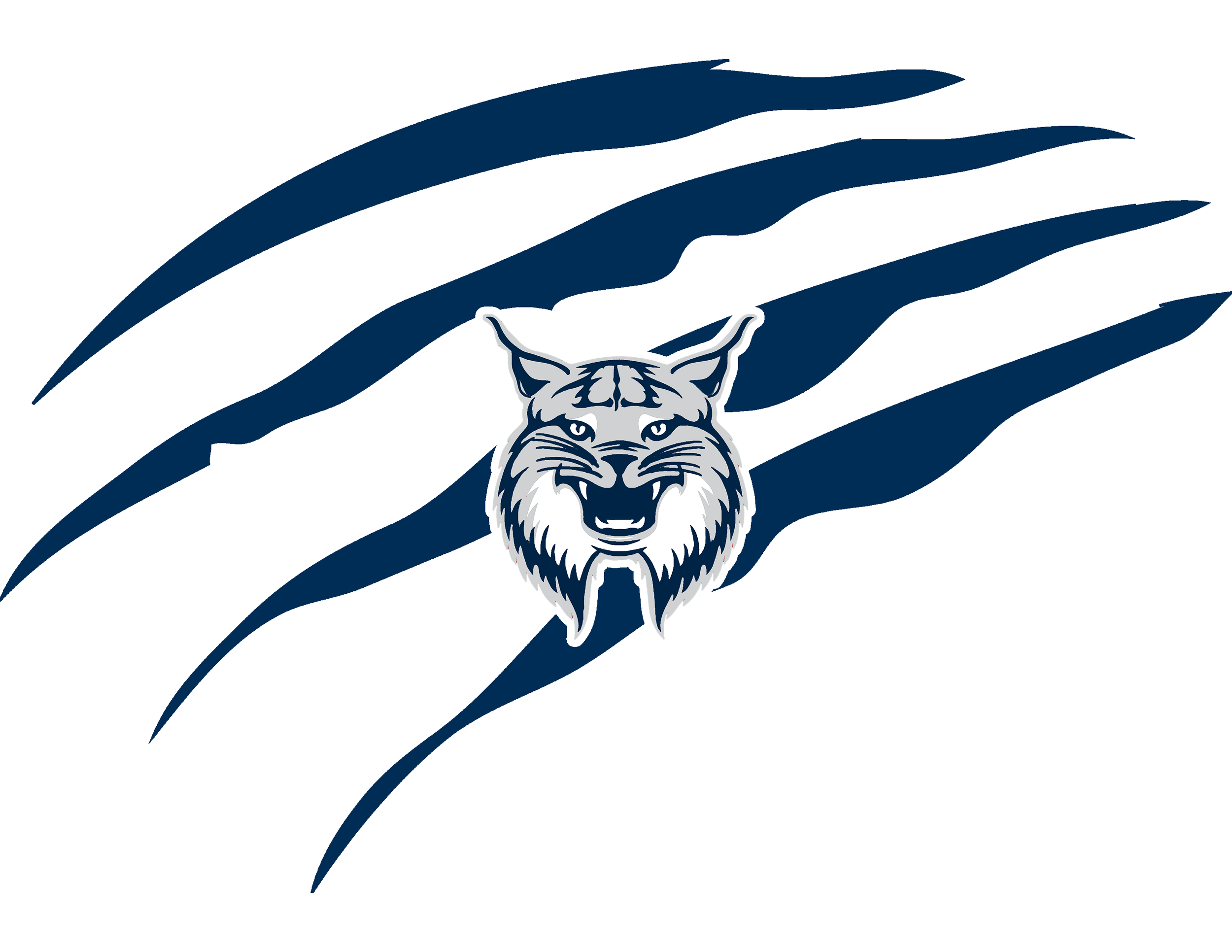 A logo featuring a fierce wolf's head at the bottom center with just the front face showing, set against a stylized American flag with dark blue stripes.