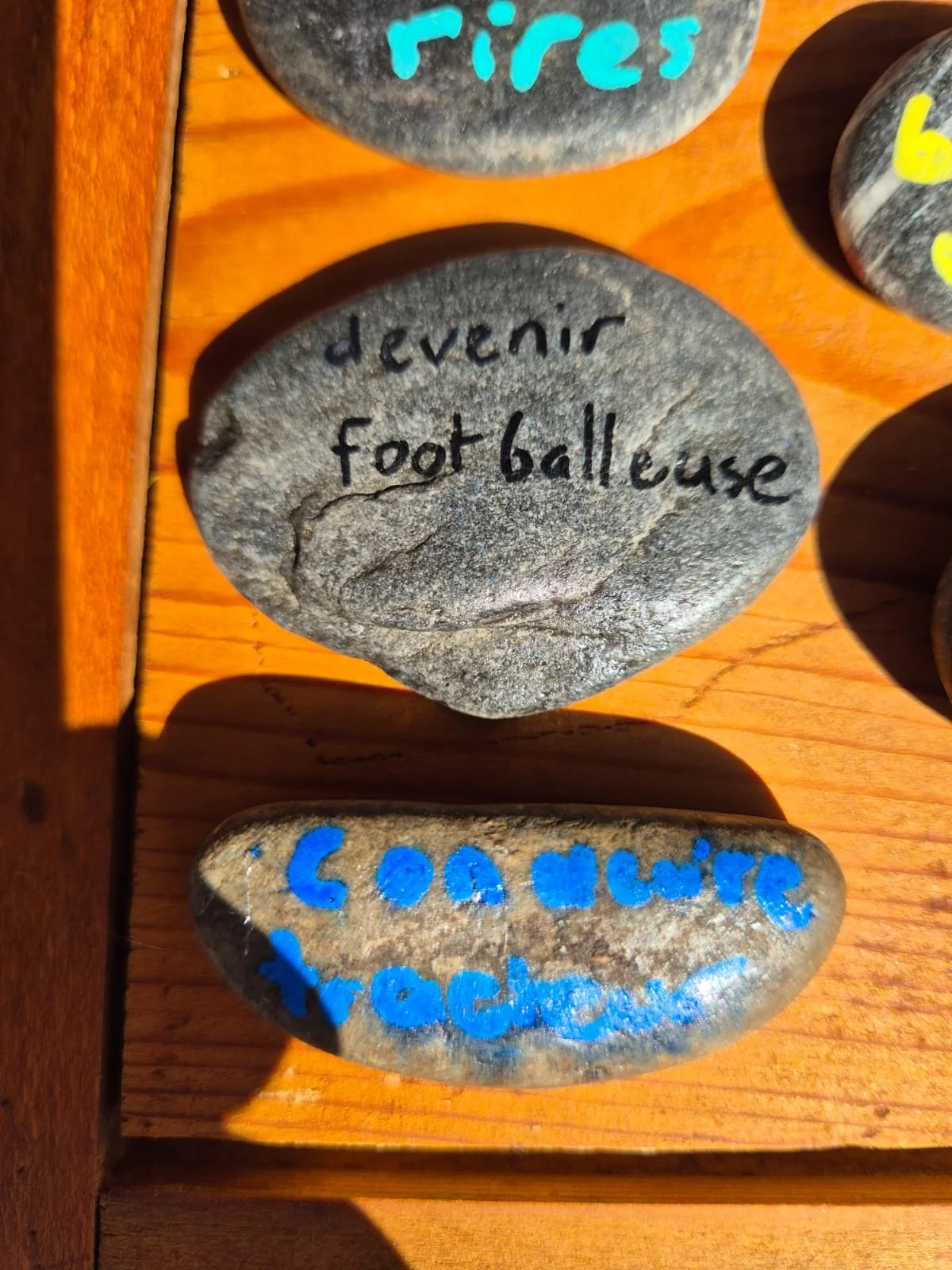 WhatsApp Image 2025-09-01 at 21.02.26 (2).jpeg