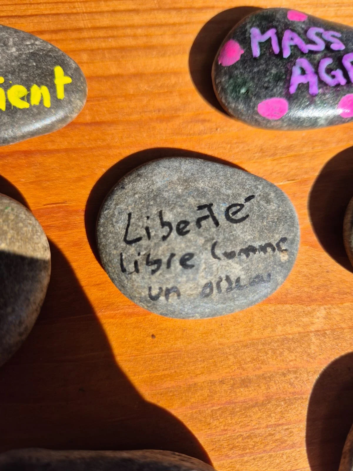 WhatsApp Image 2025-09-01 at 21.02.26 (5).jpeg