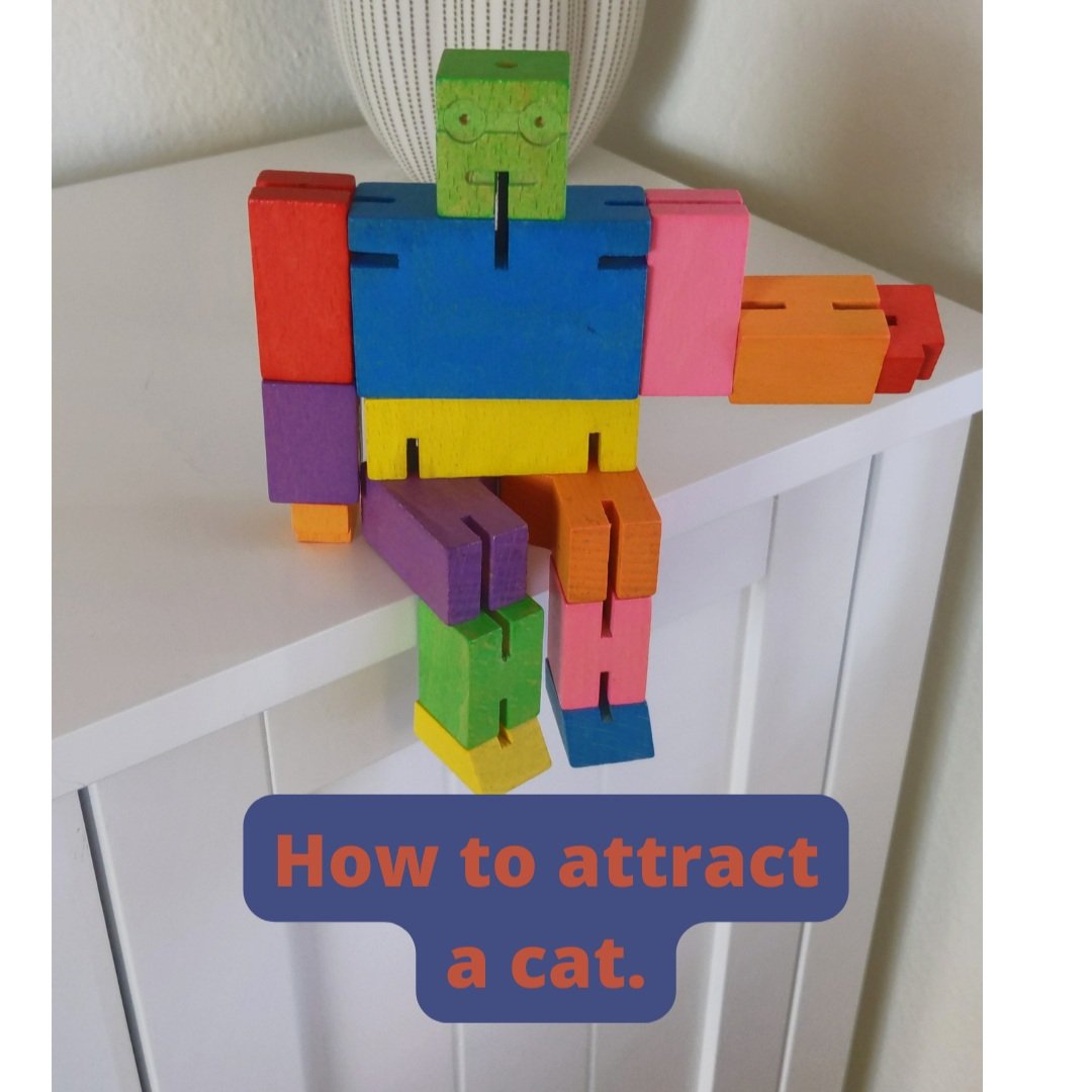 How to attract a cat