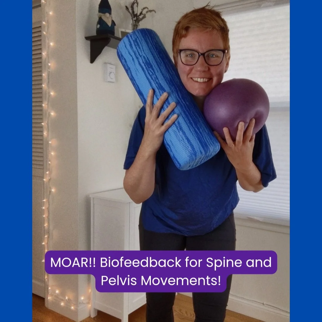 Hip Stability Exercise with Wall and Foam Roller