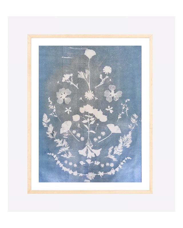 The @_stillwerise auction is going strong through 29th. I&rsquo;ve donated this 
one of a kind hand printed cyanotype, and @simplyframed is including a gift card for framing. I&rsquo;ve put the link to this in my stories. But please look around! For 