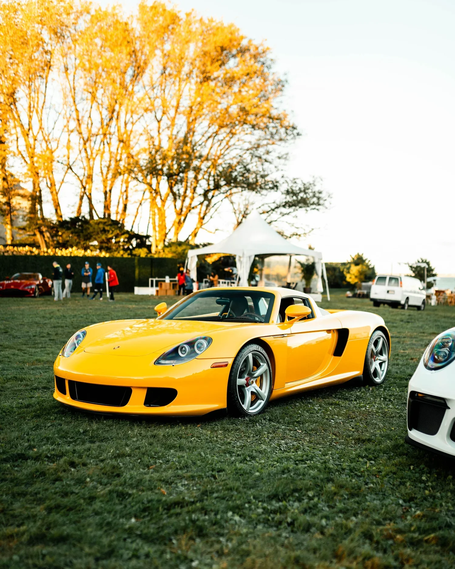 DSC_7407-Edit.jpg.webp