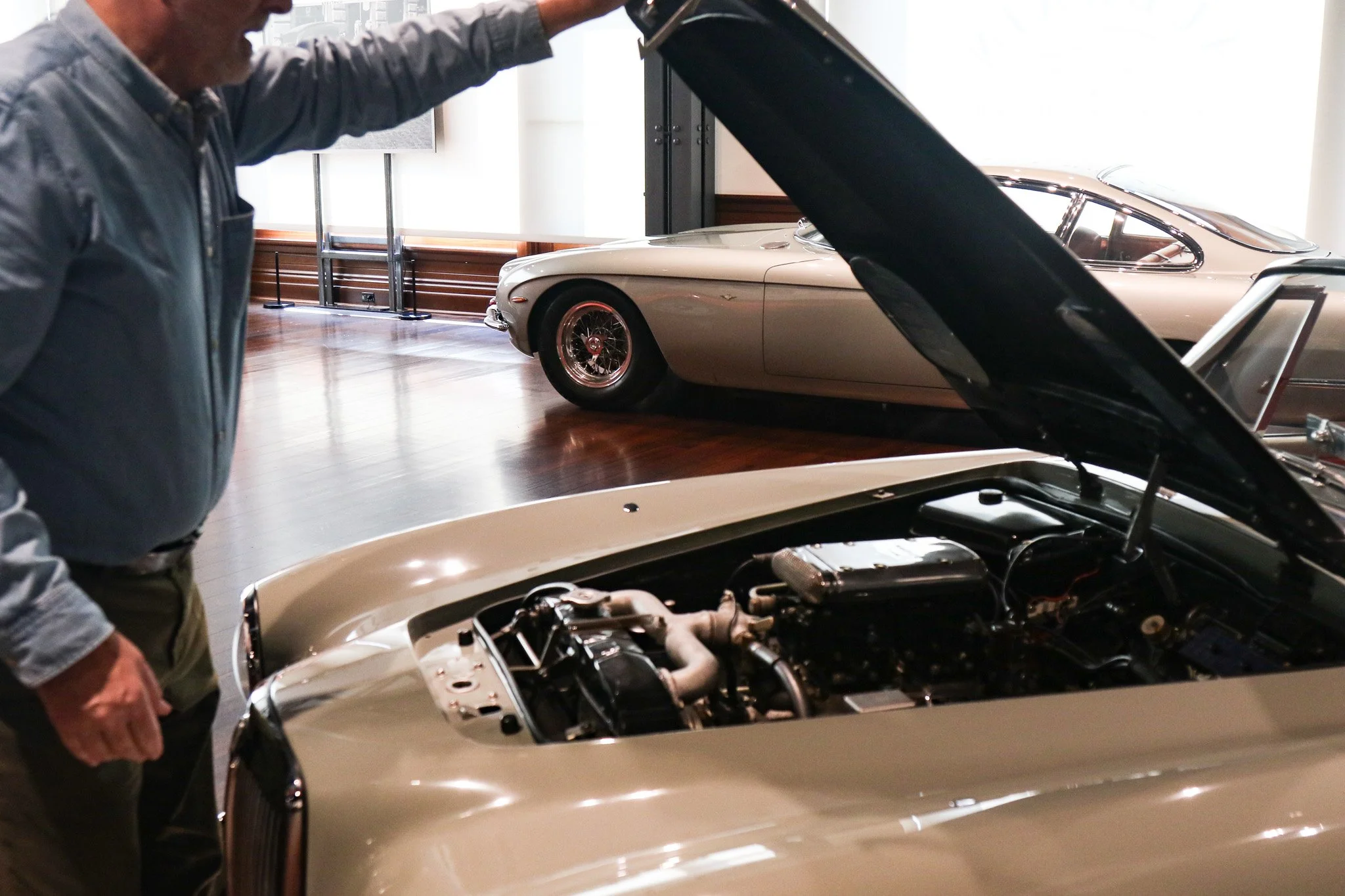 Final Look: Hoods Open