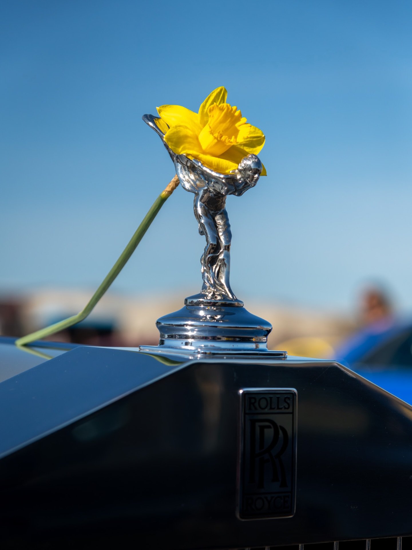 What a perfect morning at yesterday&rsquo;s Annual Driving Miss Daffodil Parade and our season opener of Cars &amp; Coffee 🤩🌼 We had record numbers and some amazing vehicles at Second Beach 🌊 Thank you to everyone who got in the daffy spirit and j