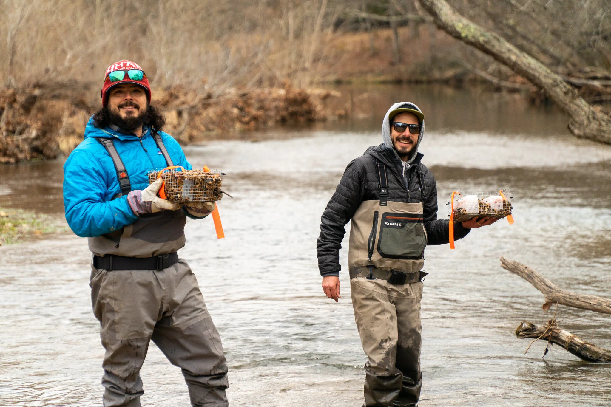 Gateway Trout Unlimited Implants Wild Brown Trout In Dry Creek