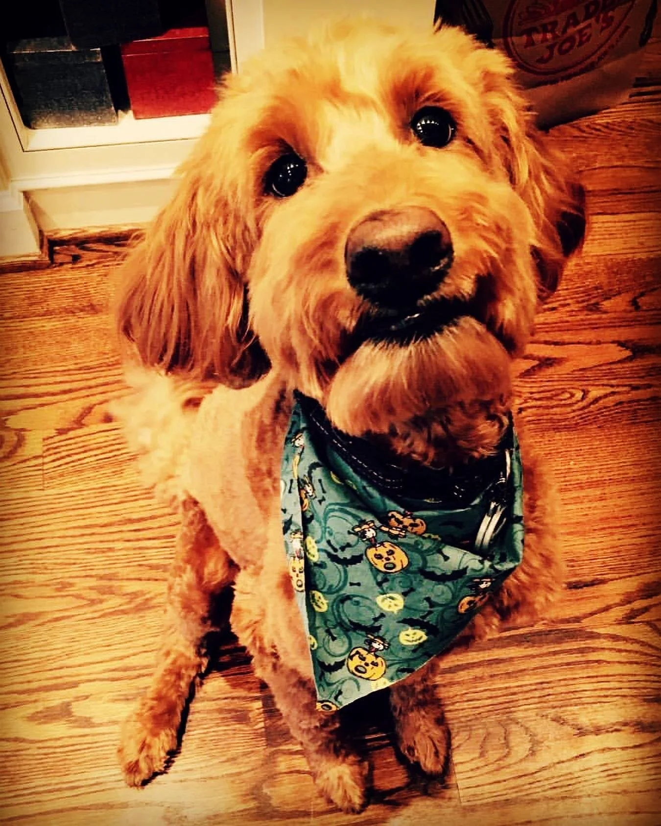 Charlie ❤️