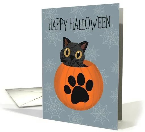 Black Cat Inside a Pumpkin.jpg
