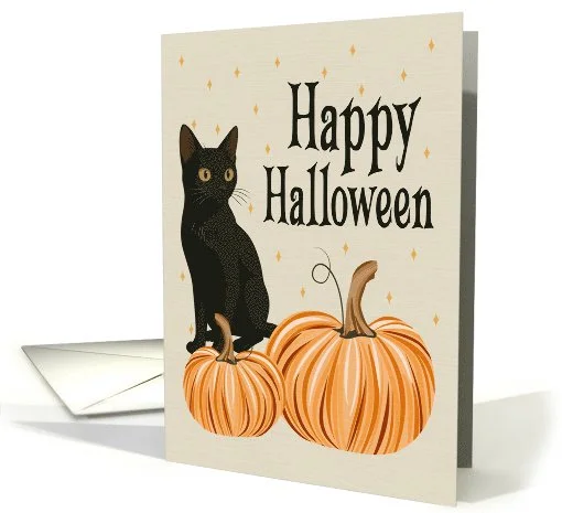 Black Cat and Pumpkin.jpg