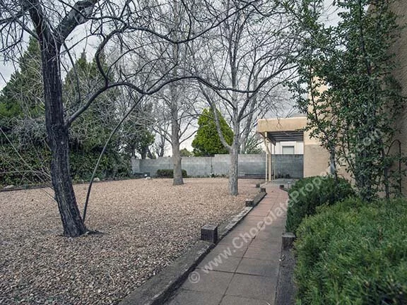 Royal_n_backyard C.jpg