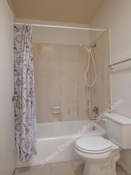 Royal_y_Guest Bathroom B with Paris Shower curtain.jpg