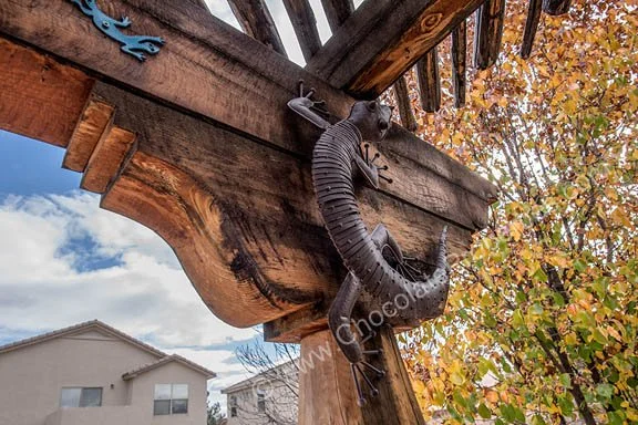 10420 Cantacielo_e_backyard D.jpg