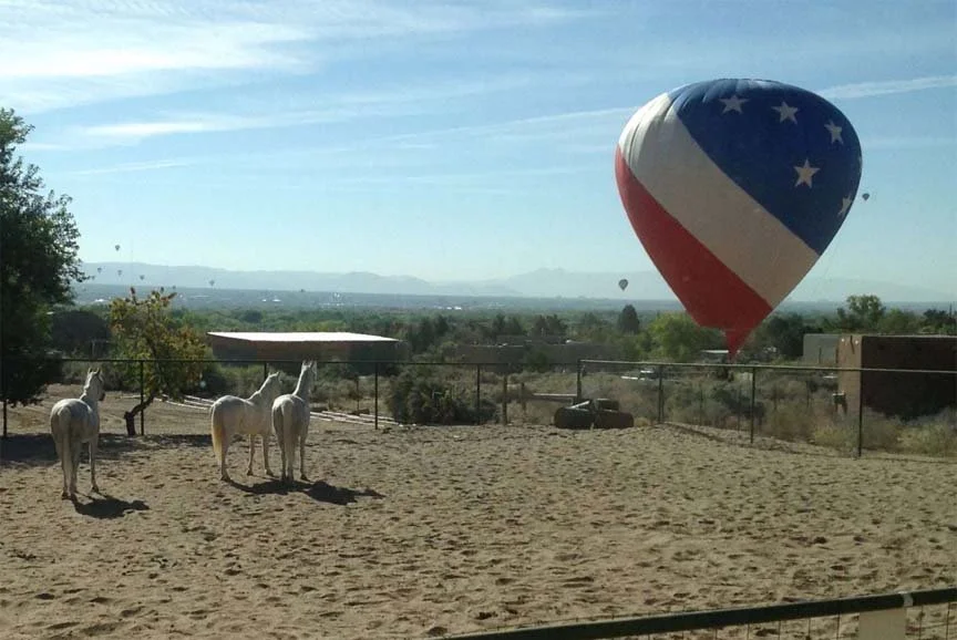 Reclining92_Arena with balloon2.jpg