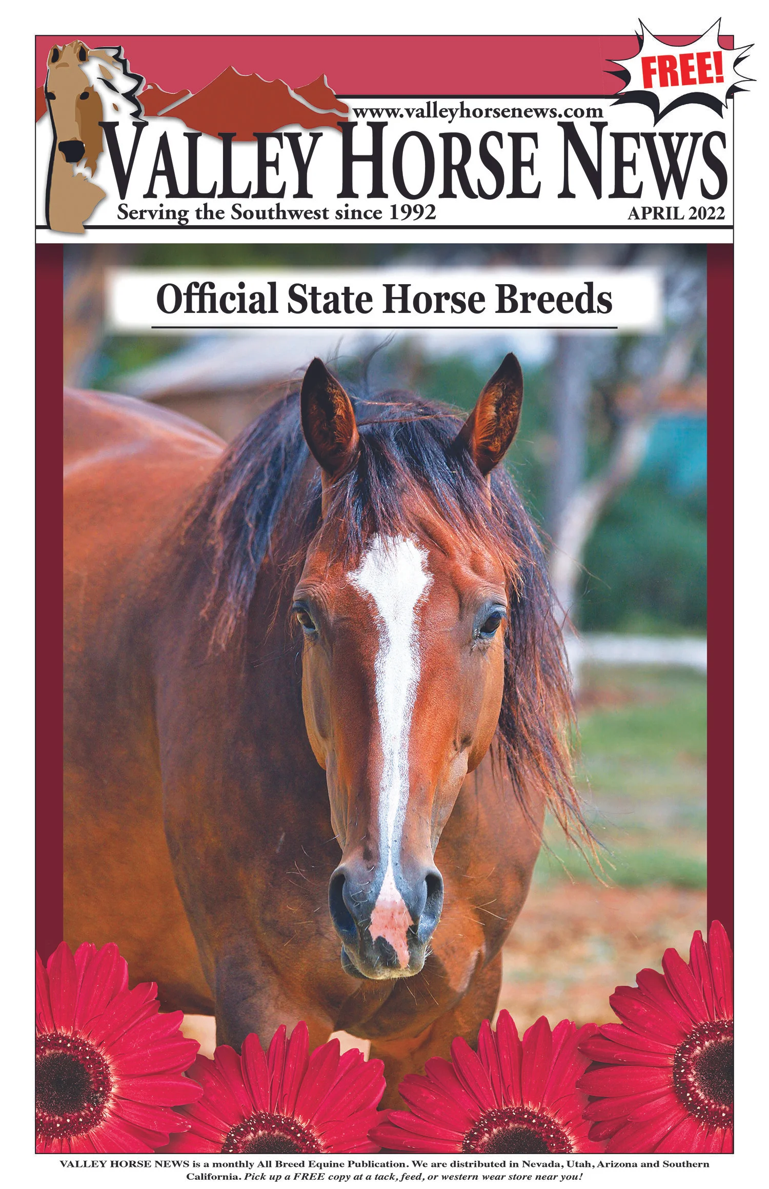 Valley Horse News