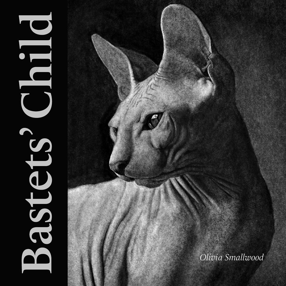 A gorgeous piece by Olivia Smallwood 🐾

Check out the full view of &quot;Bastet's Child&quot; and so much more in Issue VII: BITTER LUNGS up on our site!
&deg;
&deg;
&deg;
#OliviaSmallwood #BastetsChild #art #visualart #cat #drawing #blackandwhite  