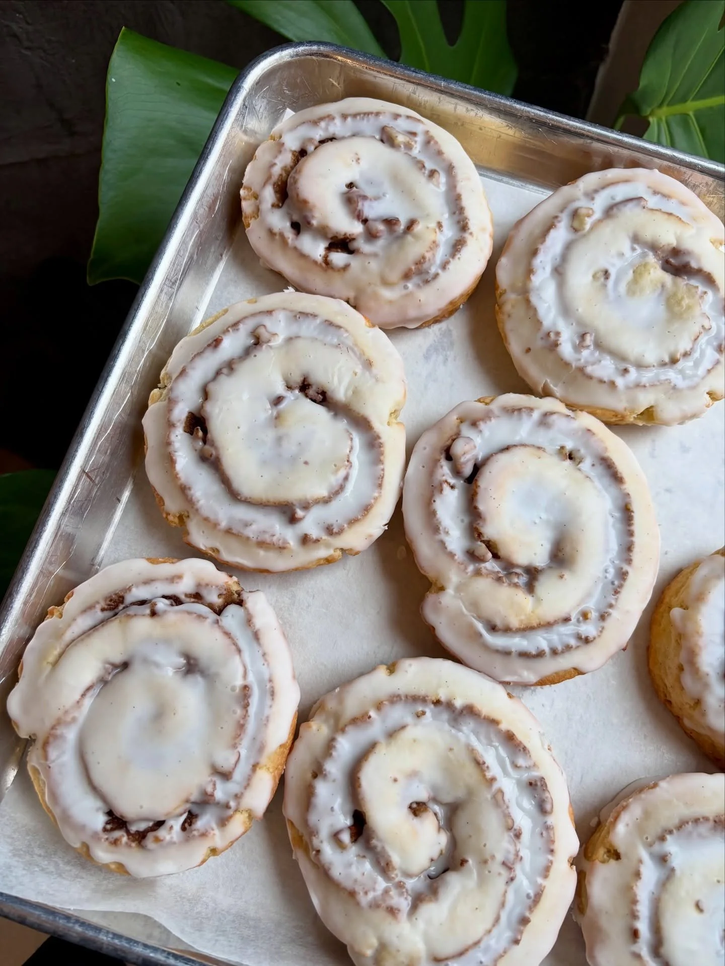 Cinnamon roll scone 🌀🌀

I don&rsquo;t know about you, but I&rsquo;m the biggest sucker for a good scone. And this is a goooood scone! 

Super buttery and tender dough swirled with five spice infused cinnamon, dotted with toasty fragrant pecans, all