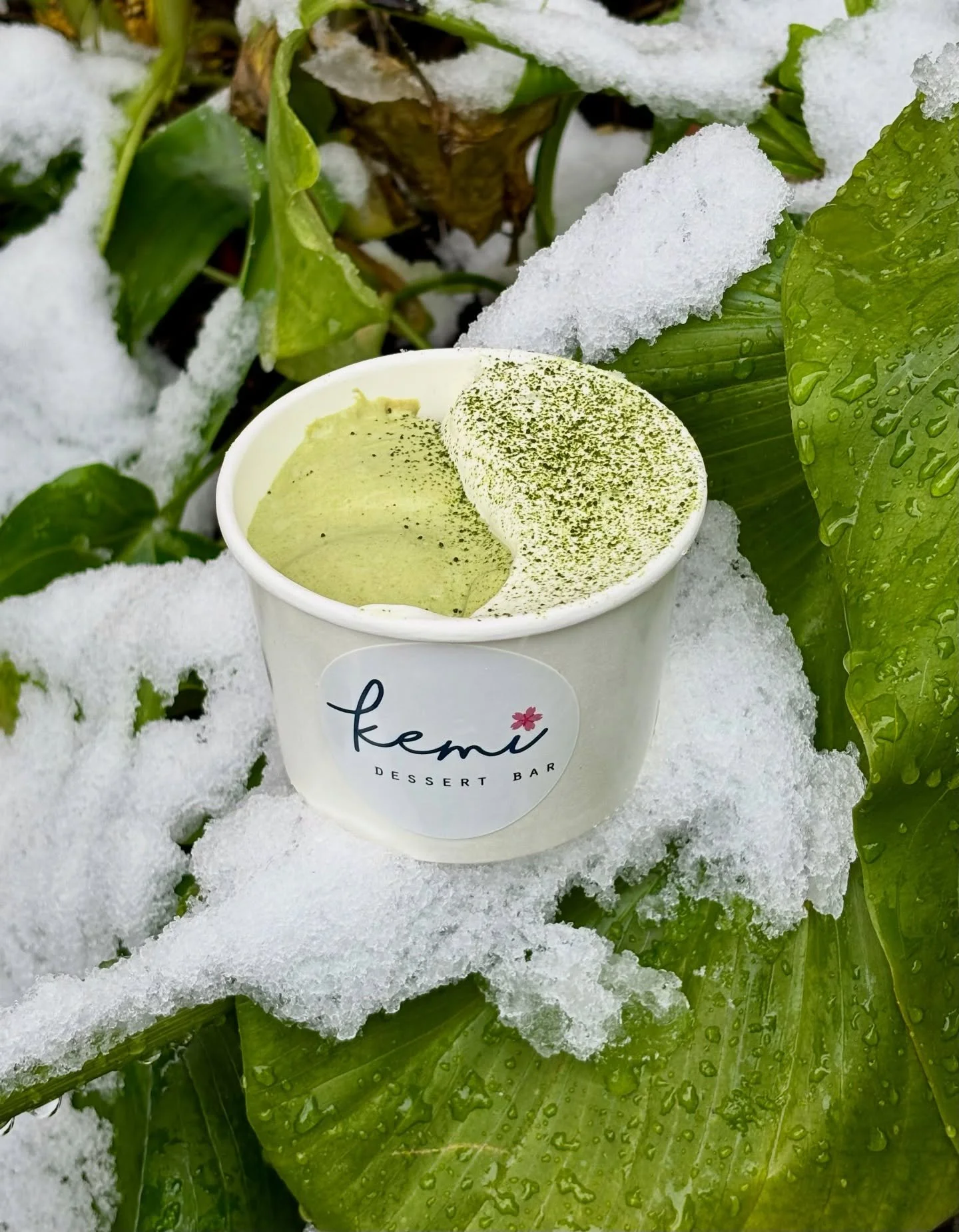 Matcha banana pudding 🍌🍵

Homemade nilla wafers, luscious matcha pudding, fresh bananas. What&rsquo;s better than that??? 

Only a few more chances to cozy up with our incredible matcha banana pudding before it leaves at the end of the month. Don&r