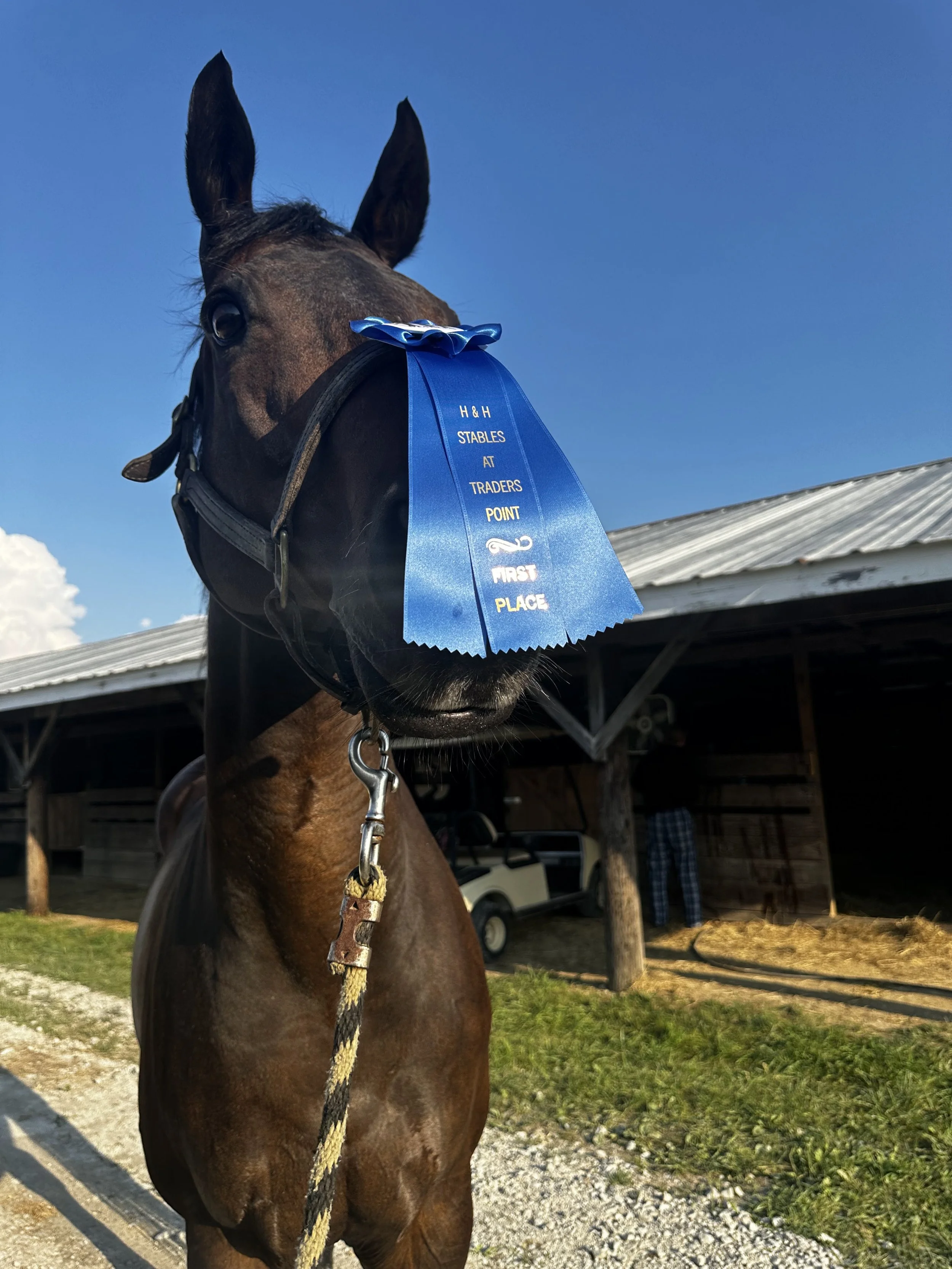 tony blue ribbon.jpg