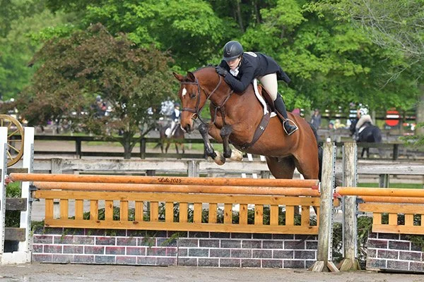 theo at brownland.JPG