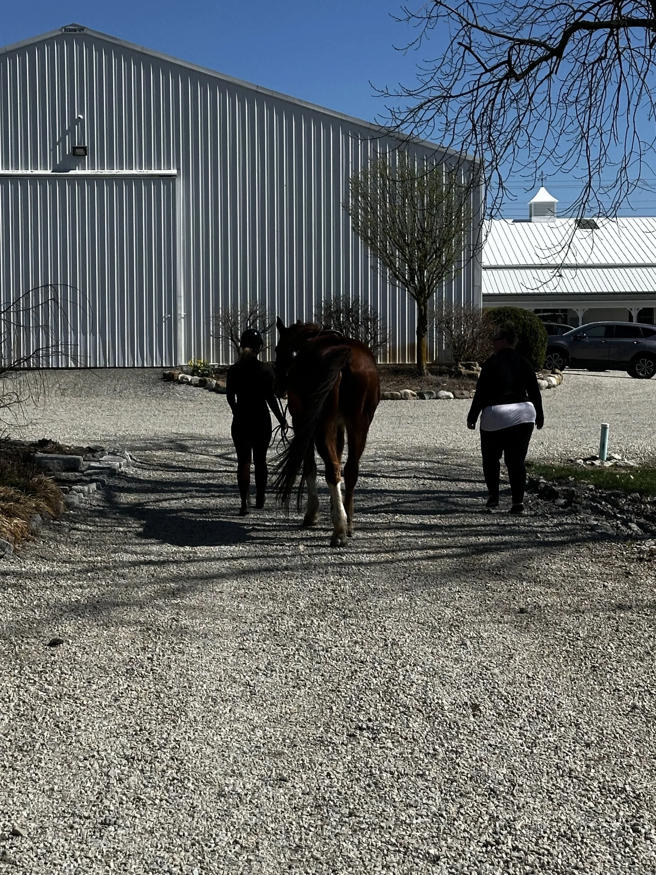 brenna walking lux.jpg