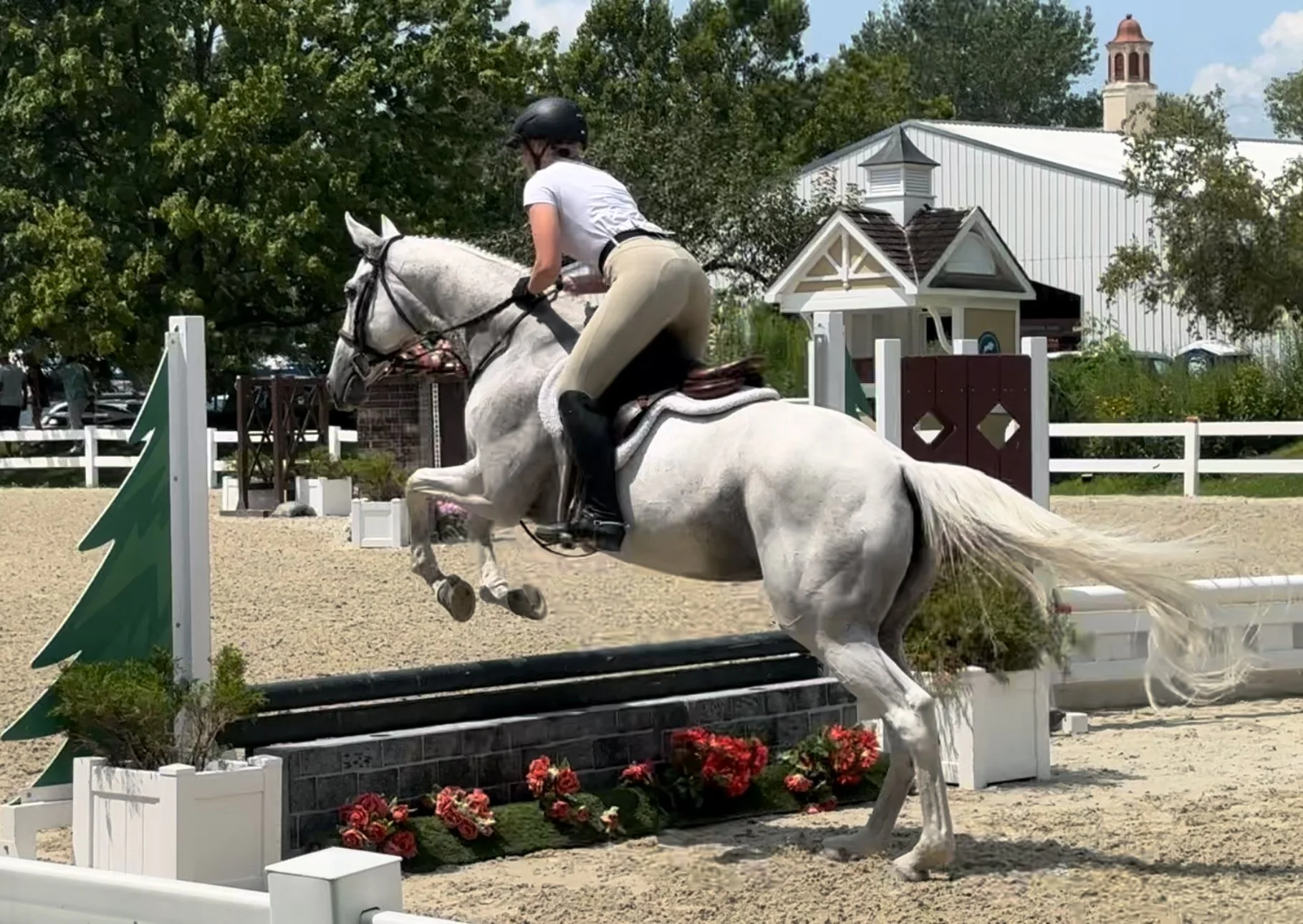 stella jumping lamplight.jpg