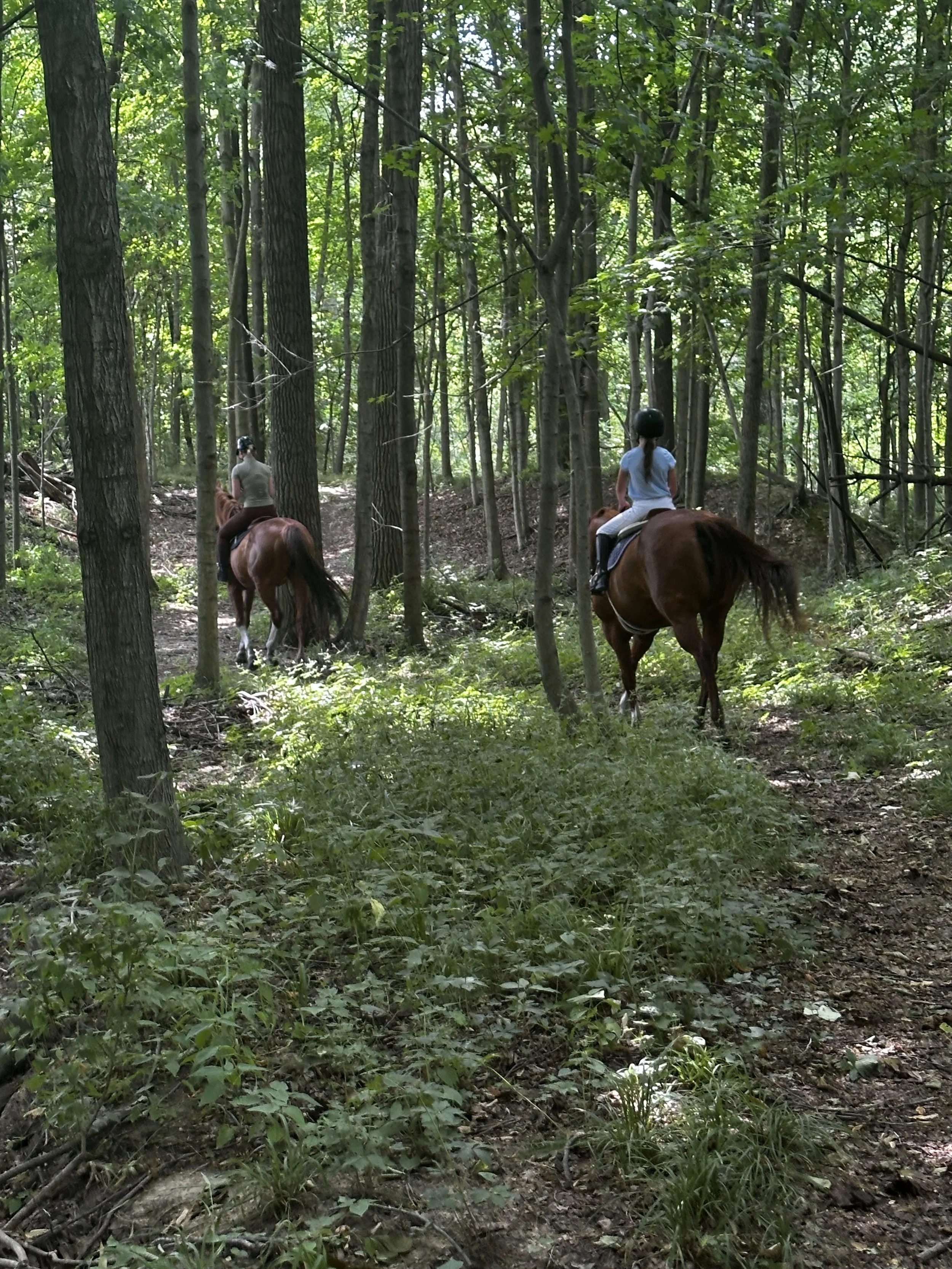 brenna ady trail.jpg