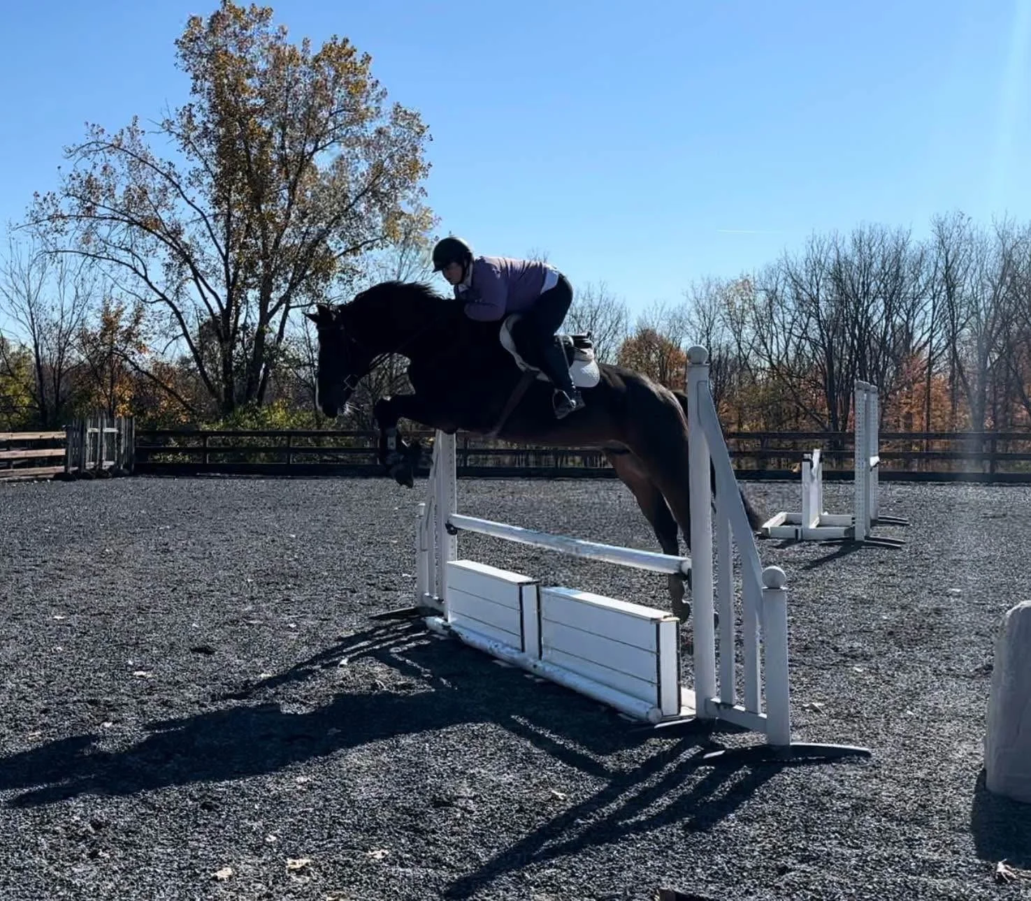 calgary jumping home.JPG