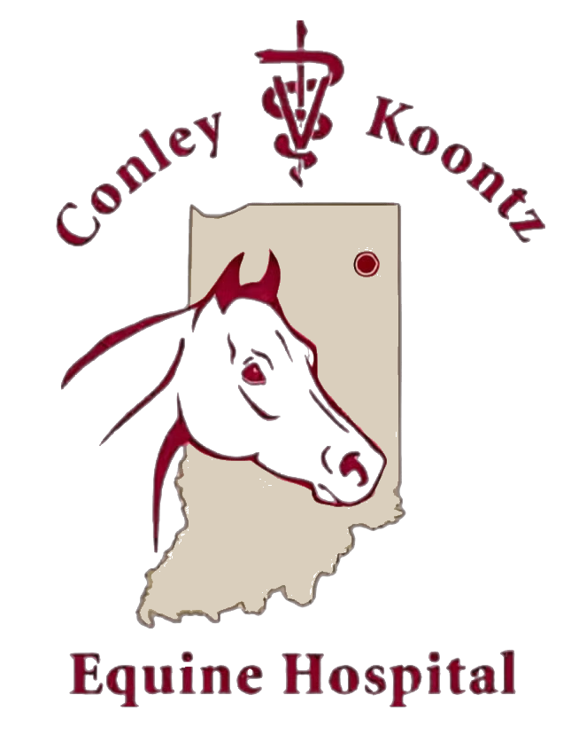 conley & koontz equine hospital