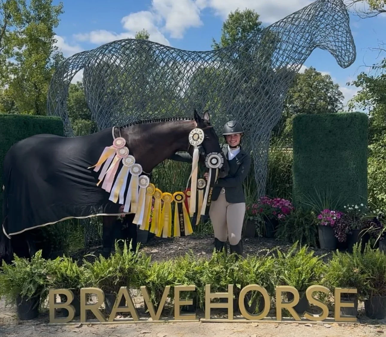 cuervo bravehorse ribbons.jpg