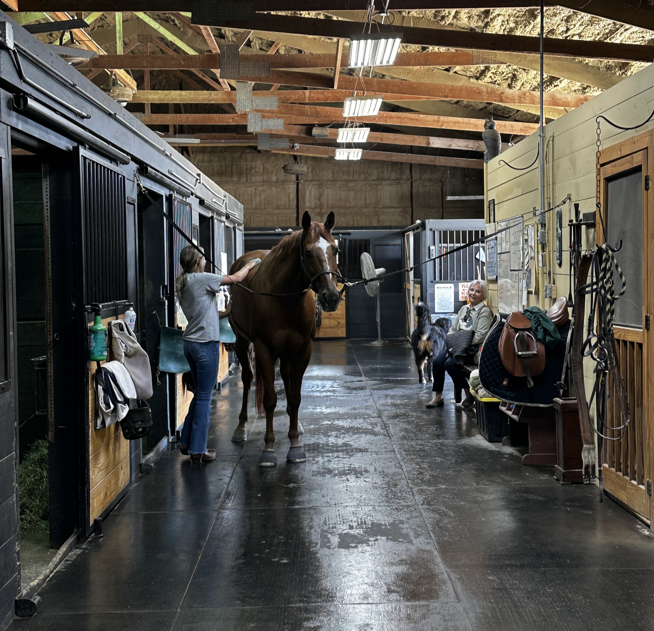 FRONT ISLE CLEAN-crop.png