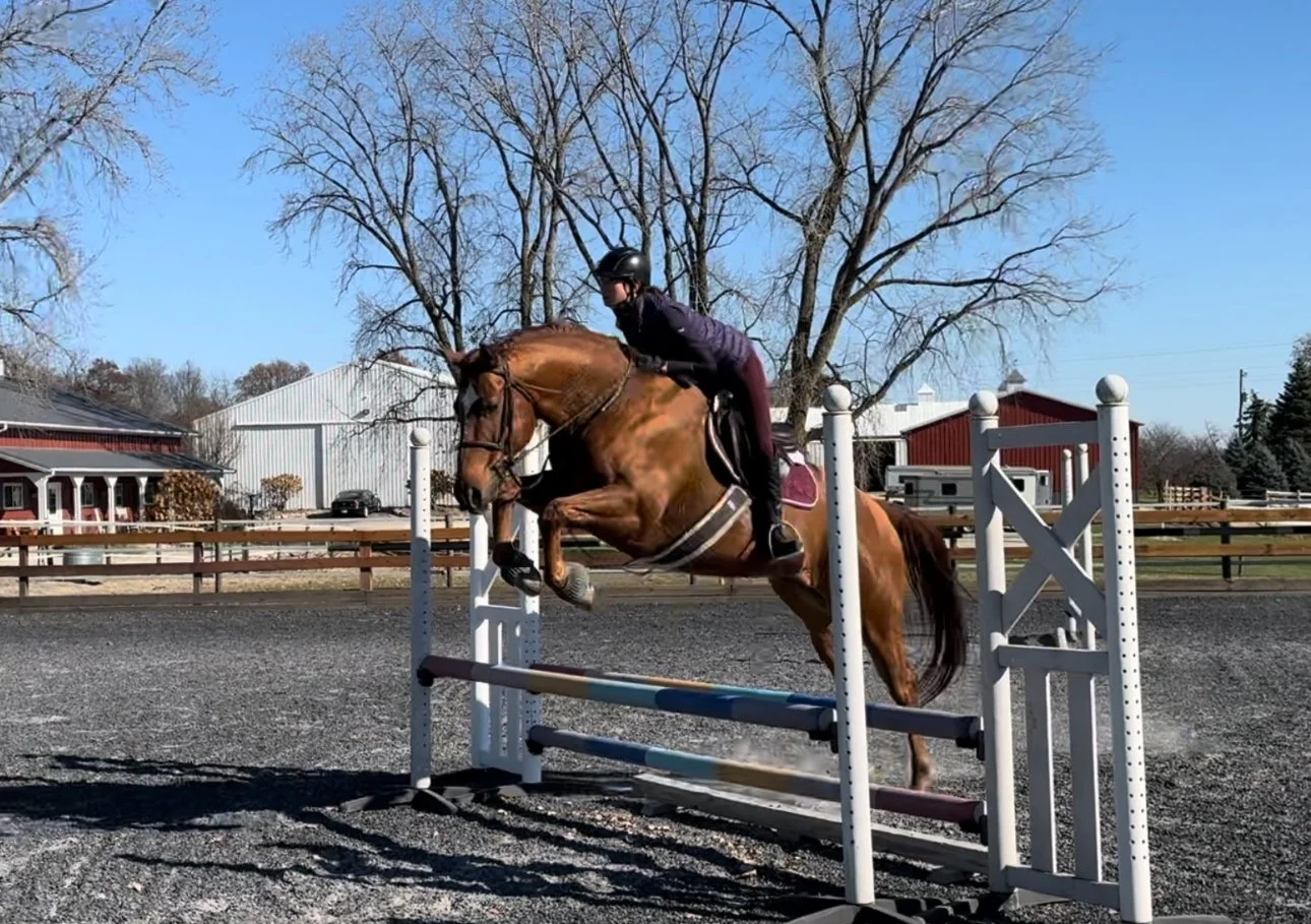 haley jumping llama 2.jpg