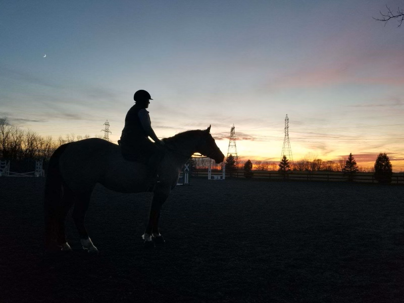 lynn tango sunset.png