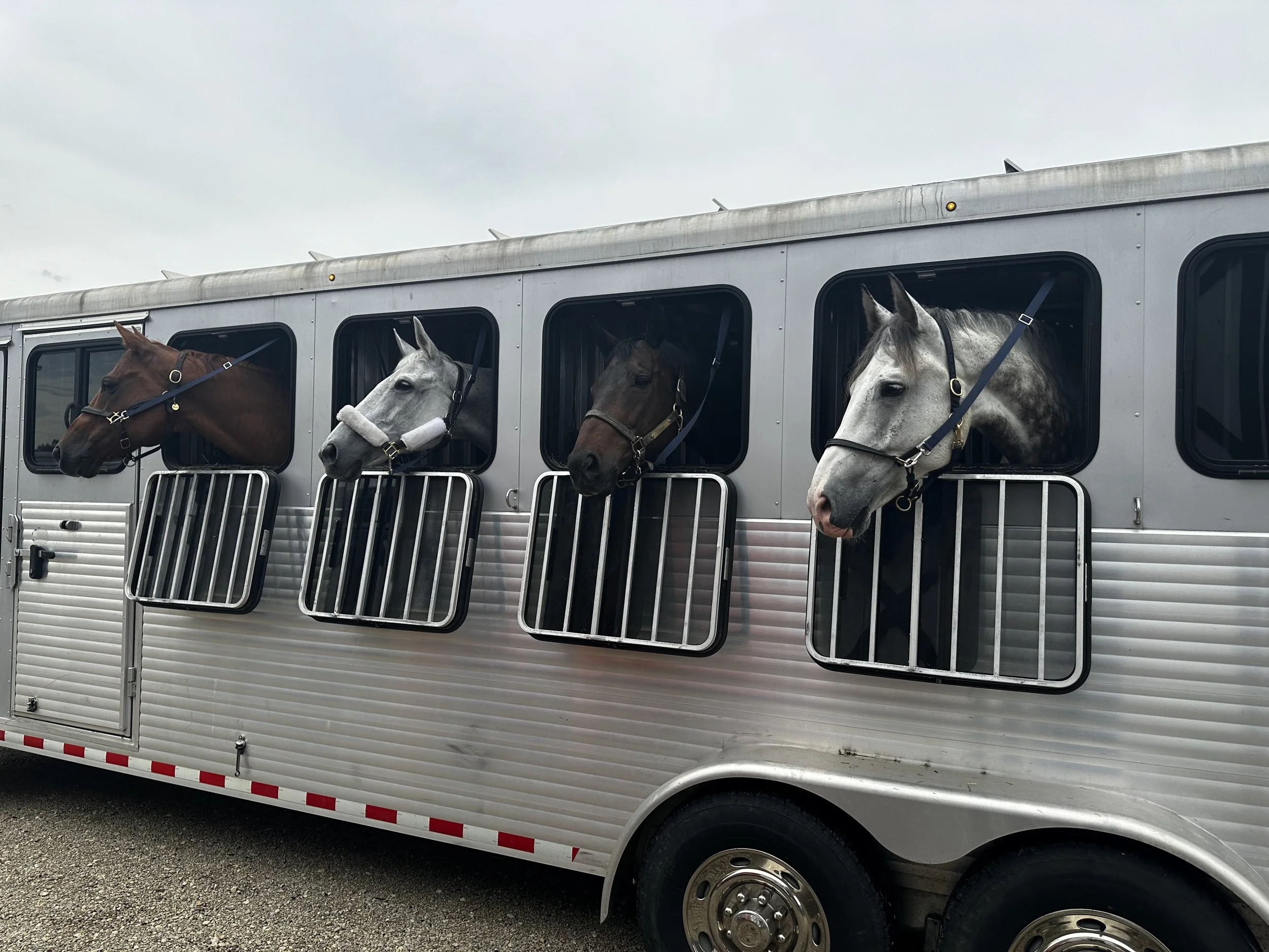 ready to go show.jpg