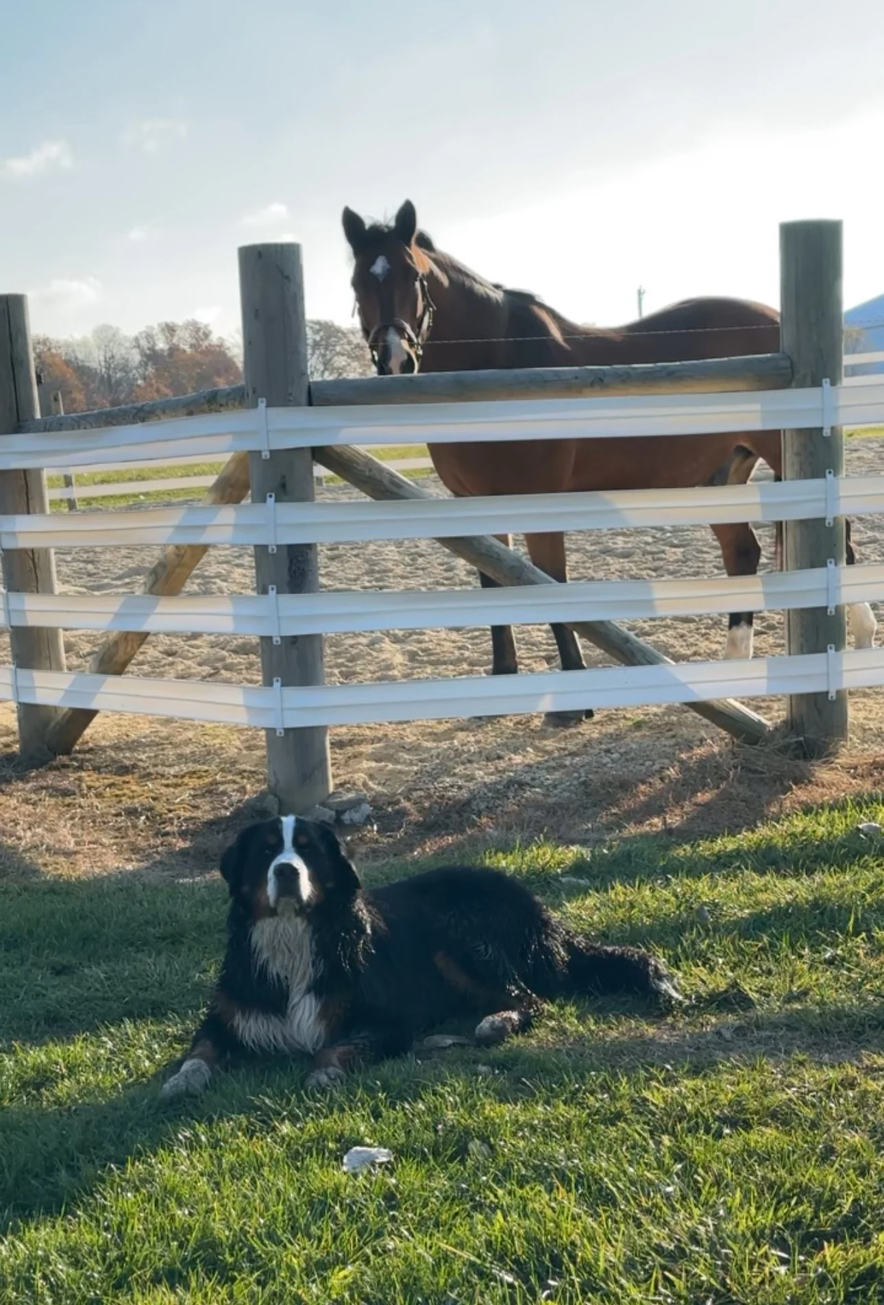 monty with harley.jpg