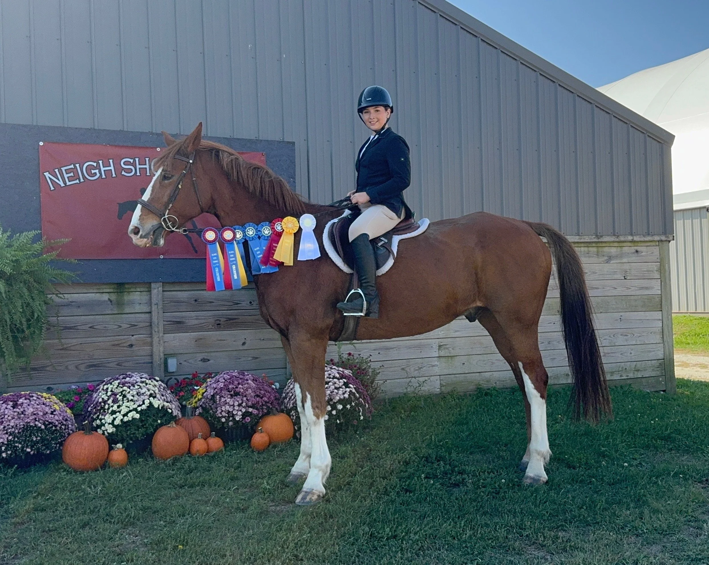 lux and penny ribbons.JPG