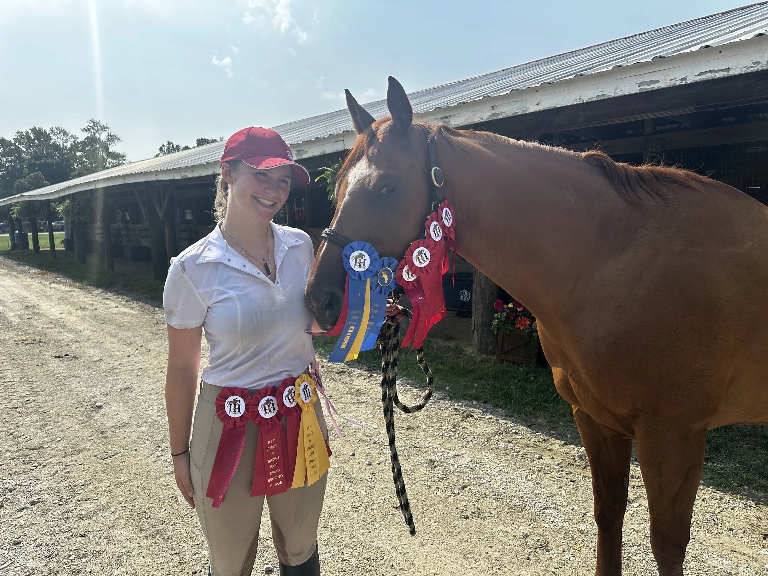 brenna ribbons llama.jpg