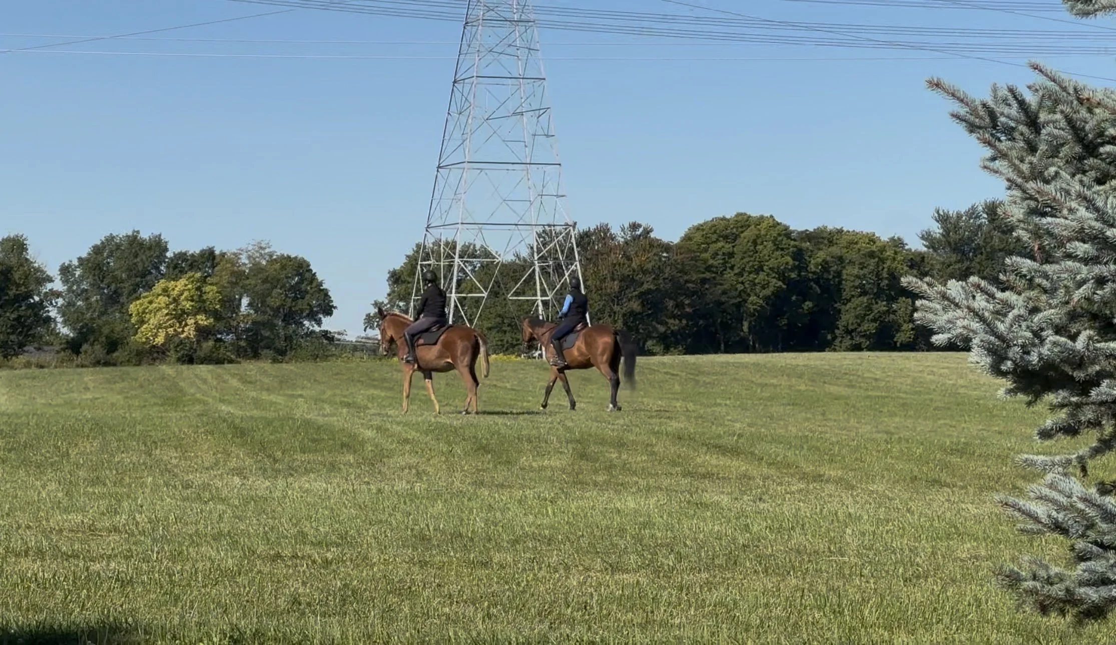 ride through the hay field.jpg